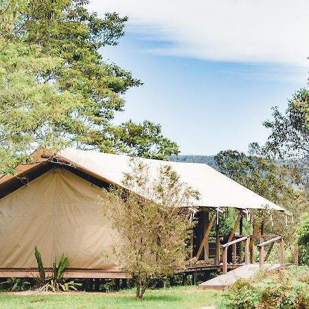 Silk Pavilions Glamping Mount Burrell Extérieur photo