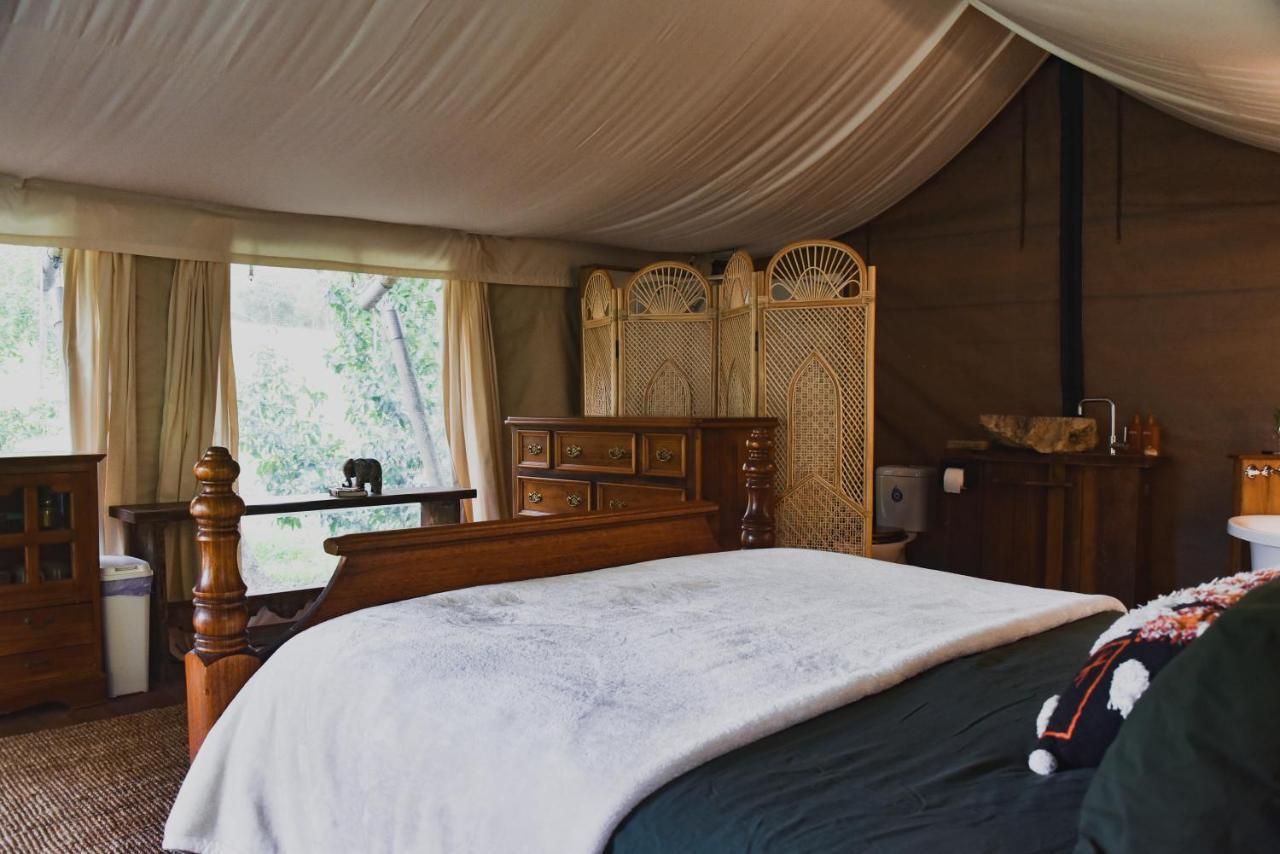 Silk Pavilions Glamping Mount Burrell Extérieur photo