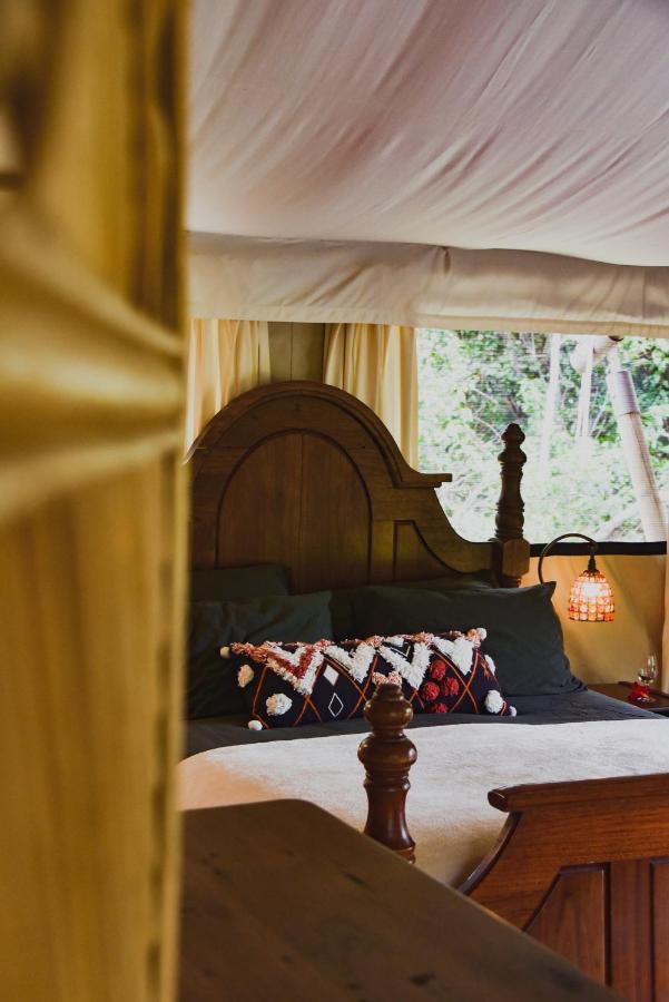 Silk Pavilions Glamping Mount Burrell Extérieur photo