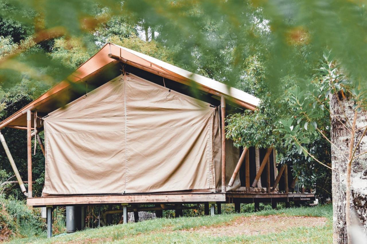 Silk Pavilions Glamping Mount Burrell Extérieur photo