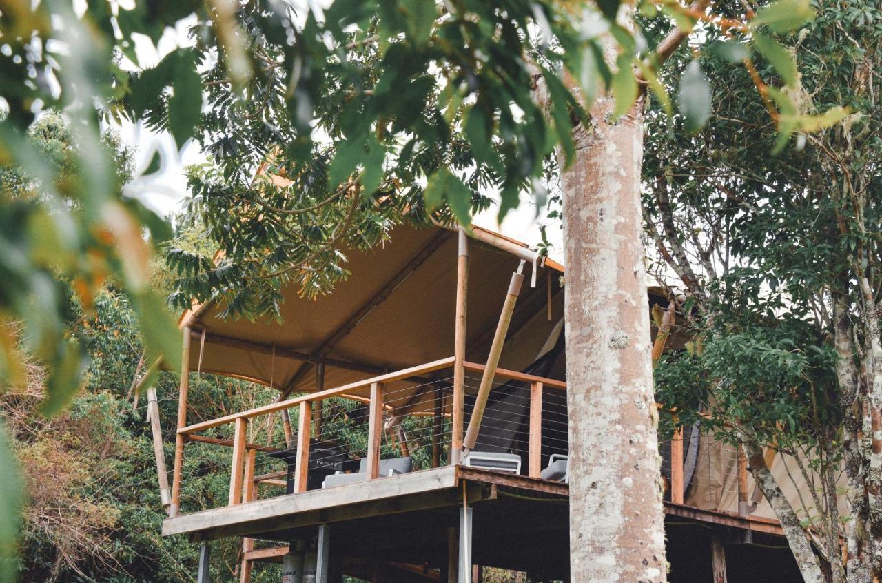 Silk Pavilions Glamping Mount Burrell Extérieur photo